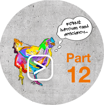 Feed_Efficiency_mit_Play_Button_Part12_Huhn.png